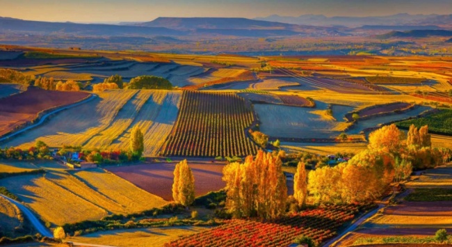 里奧哈產區風景_650 里奧哈產區風景_650