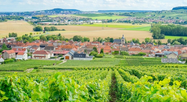 法國香檳產區 法國香檳產區