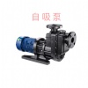 耐空轉(zhuǎn)自吸泵選型的注意事項